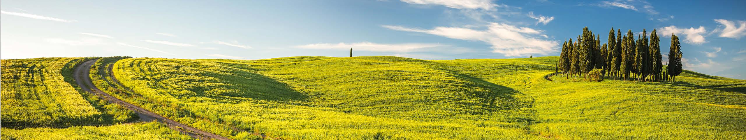 Banner Le Marche - Italië